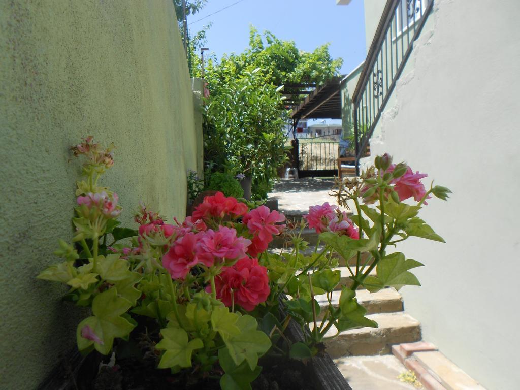 Irmak Family Pension & Apartments Еджеабат Номер фото